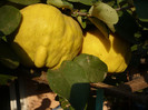 P1220507
