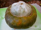 buttercup-squash2