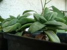P1090053