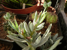 P1100119