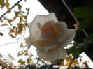 DSCN2268