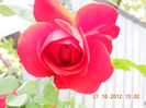 DSCN2278