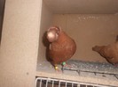 DSCN0322