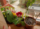 DSCN4581_102