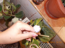 DSCN4582_103
