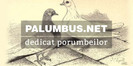 palumbus.net