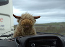 Hary Hamish