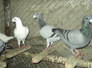 DSCF3673