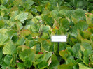 P1060555