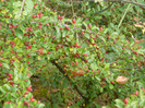 P1060565
