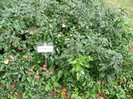 P1060578