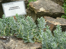 P1060585