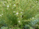 P1060591