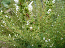 P1060592