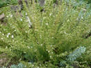 P1060593