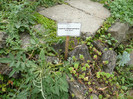 P1060594