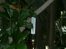 P1060765