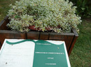 P1060619
