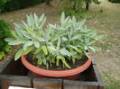 P1060630