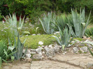 P1060637