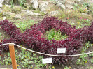 P1060648