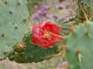 P1060661