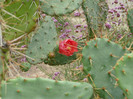 P1060662