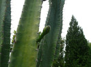 P1060671