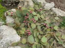 P1060676