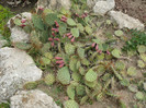 P1060677