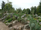 P1060678