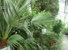 P1060683
