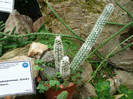 P1060700