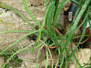 P1060702