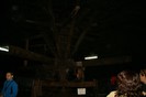 IMG_0651