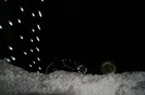 IMG_0665