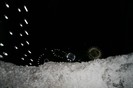 IMG_0667
