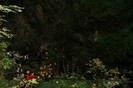 IMG_0719