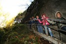 IMG_0733
