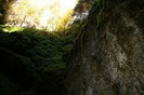 IMG_0734
