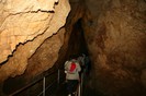 IMG_0782
