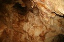 IMG_0792