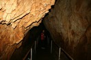 IMG_0798