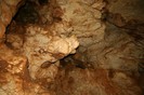 IMG_0799