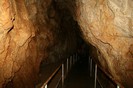 IMG_0800