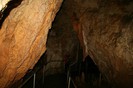 IMG_0811