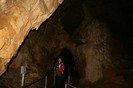 IMG_0816
