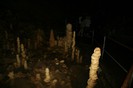 IMG_0821