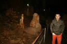 IMG_0831
