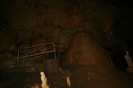 IMG_0835